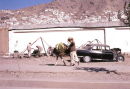 Water Melon Seller & Donkey, Kabul